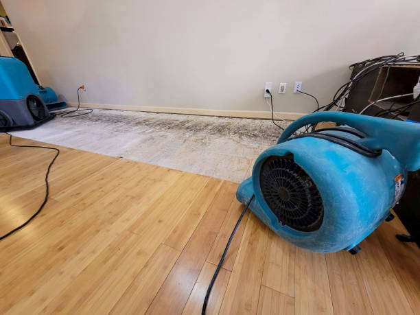 Professional Water Damage Repair technician working in Beavercreek, OR